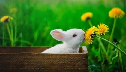 kaiyun体育综合-快船计划组织封闭战术演练提升配合度，快船模式