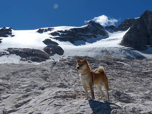 塞内加尔男足在巴黎奥运会上展示了高水平的比赛状态，塞内加尔男足世界排名