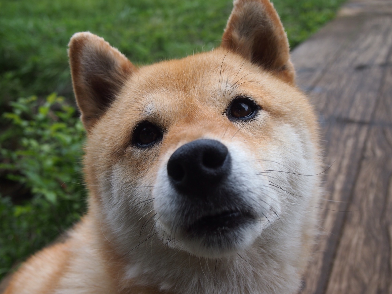 布鲁诺·卡博克洛在巴黎奥运会小组赛中展现全面技术,布鲁诺-卡波科洛