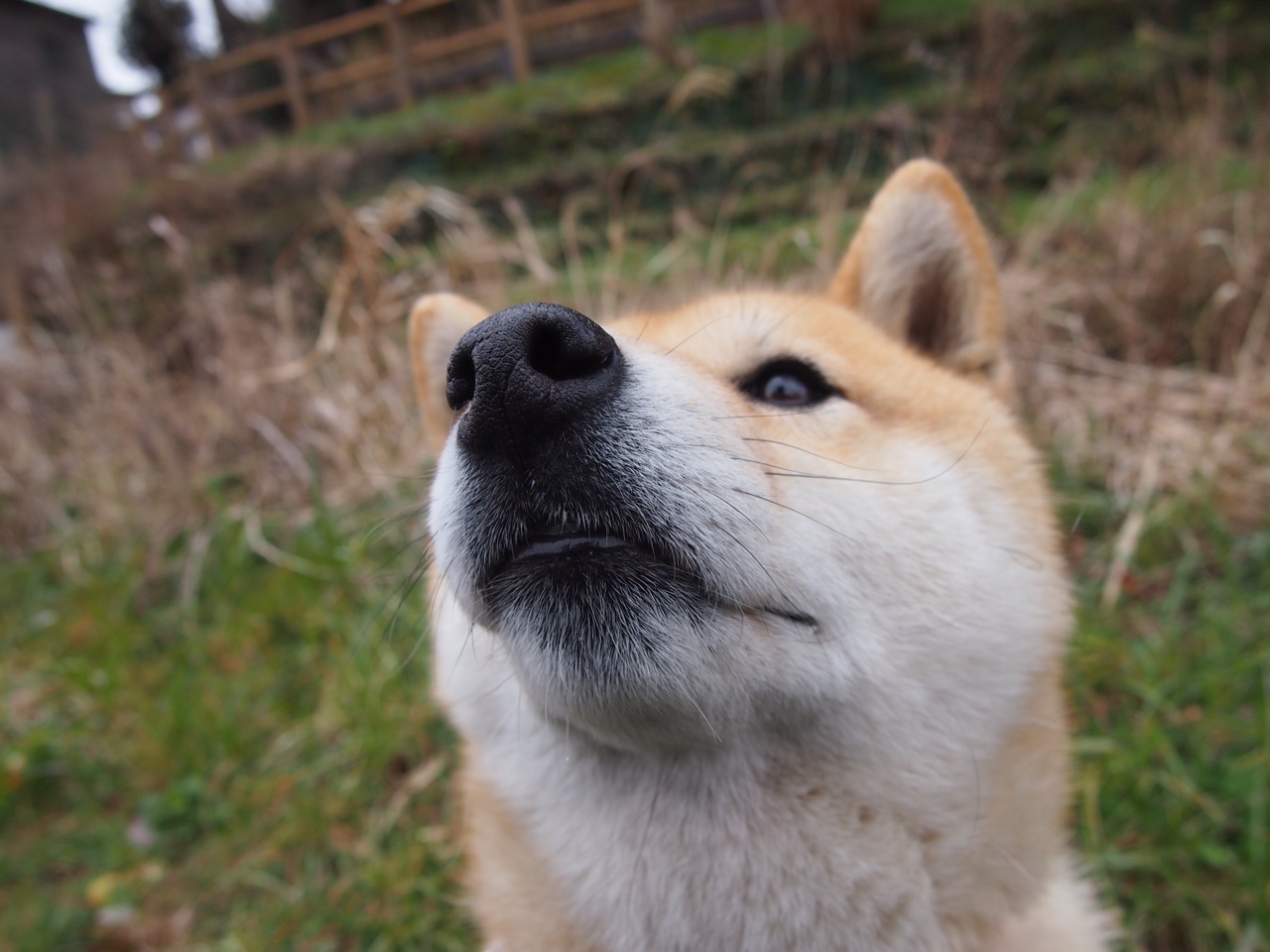 kaiyun体育app-最震撼终点：逆转胜利背后的故事，逆转胜利是怎么达成