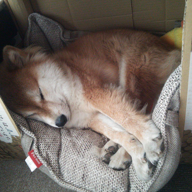 开云入口-法甲争冠白热化：巴黎相距第一名仅差2分，排名持续变动，法甲巴黎名单