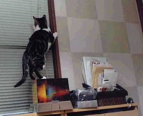 kaiyun官方网站-特色比赛日活动丰富，提升观赛体验，比赛特色奖项设置名称大全