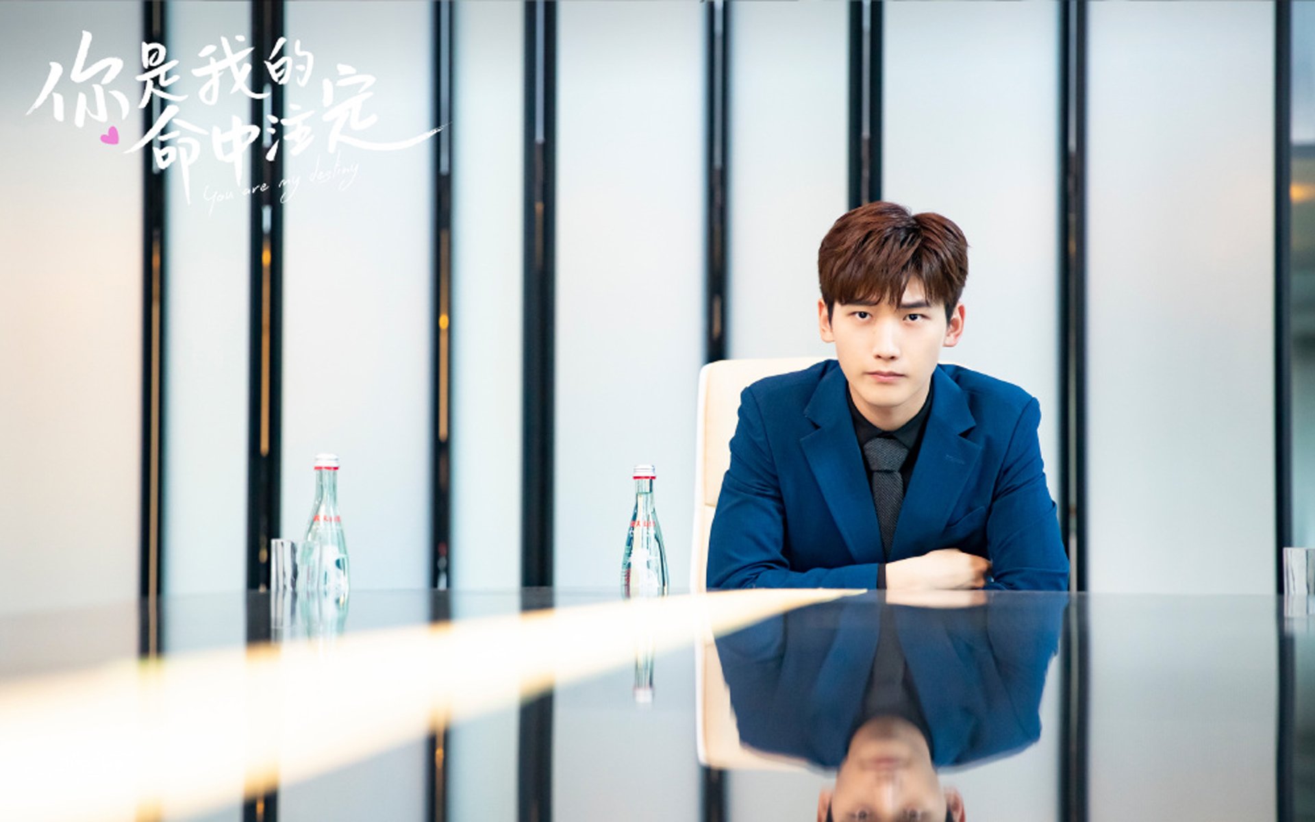 篮球明星效应促进赛事观众数量增长,了解更多篮球明星