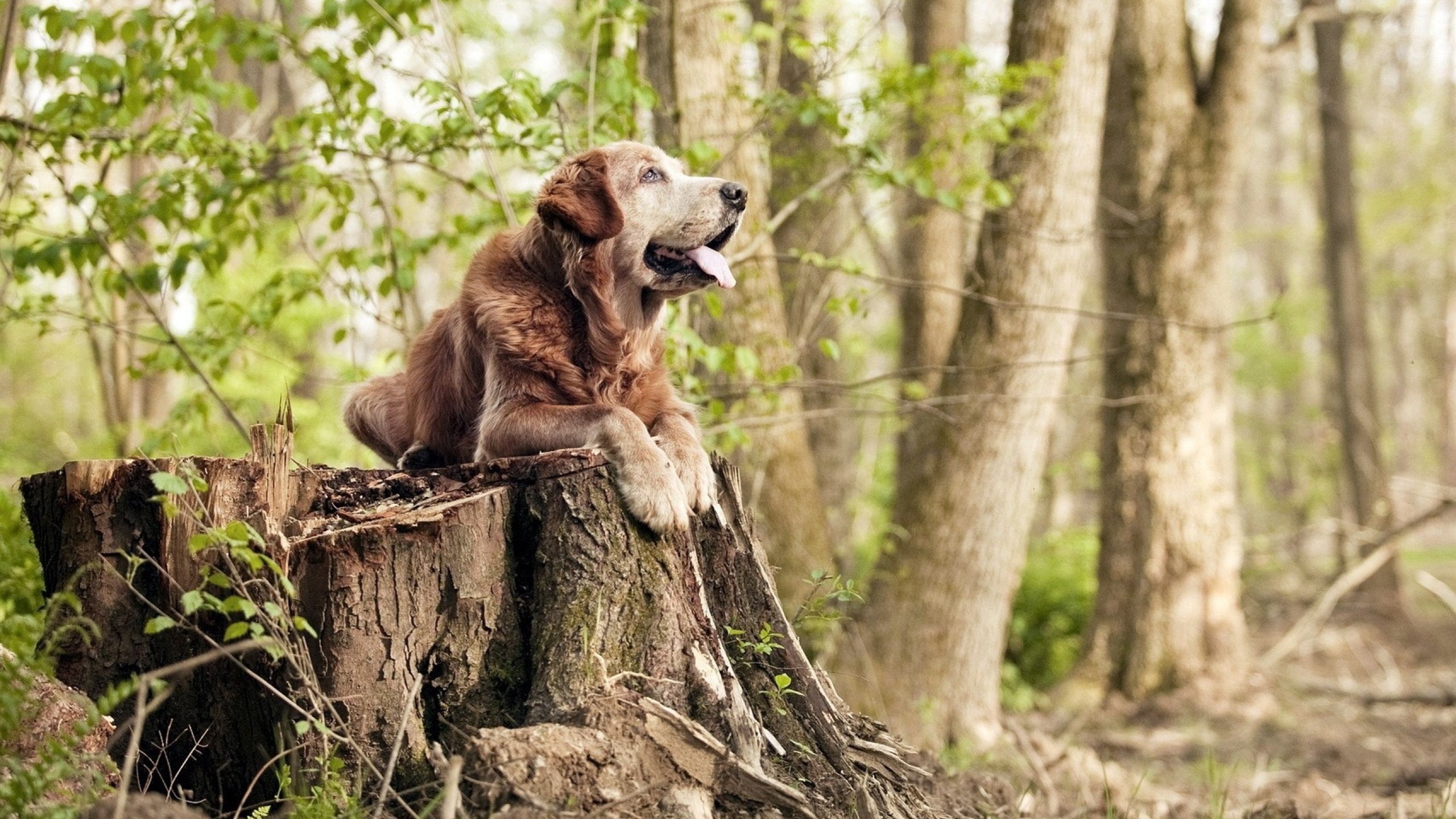 开云网站-运动员日记：比赛背后那些不为人知的细节，运动员比赛瞬间