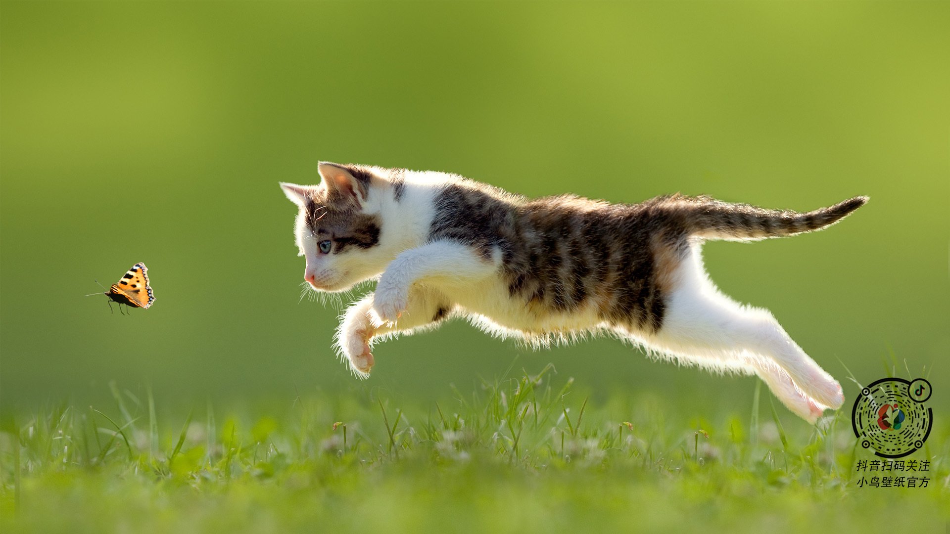 kaiyun网站-PSG连续多场比赛取胜，psg战队成绩