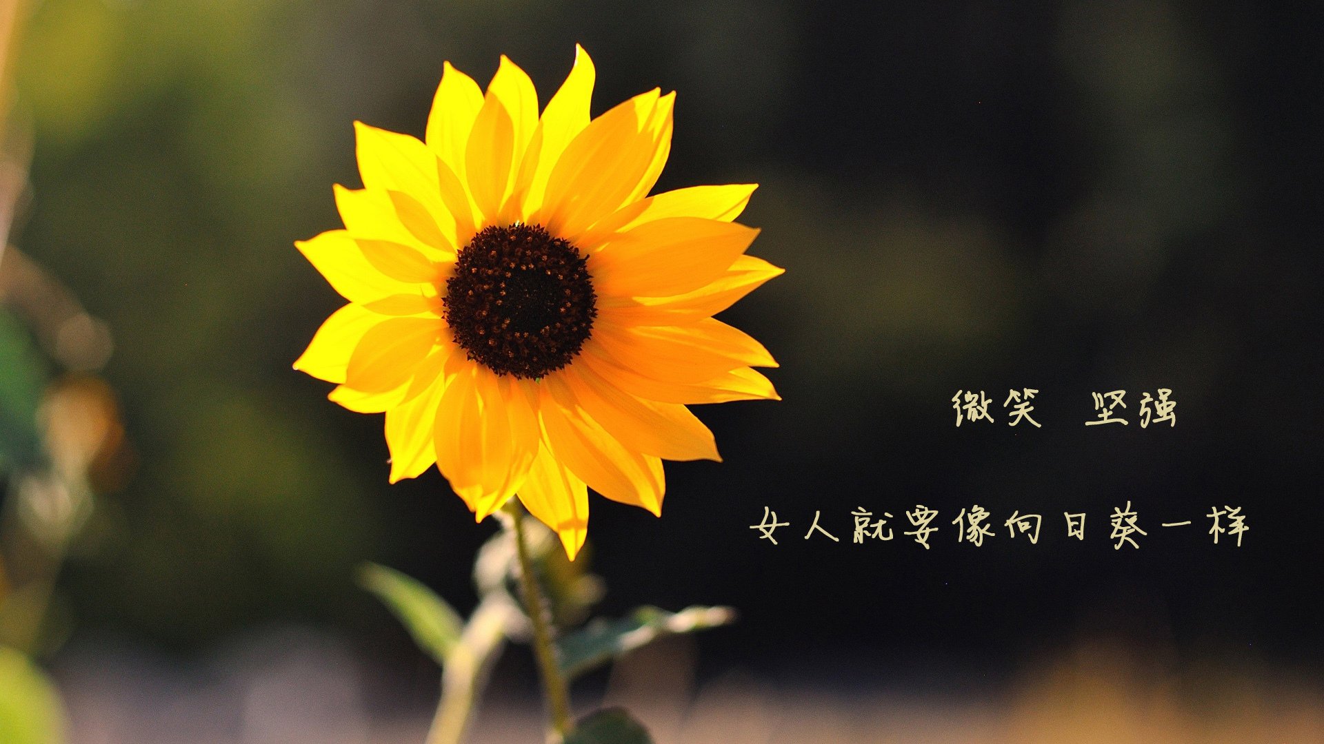 kaiyun登录入口-尼斯客场惨败，遗憾告负颗粒无收，尼斯被罚分