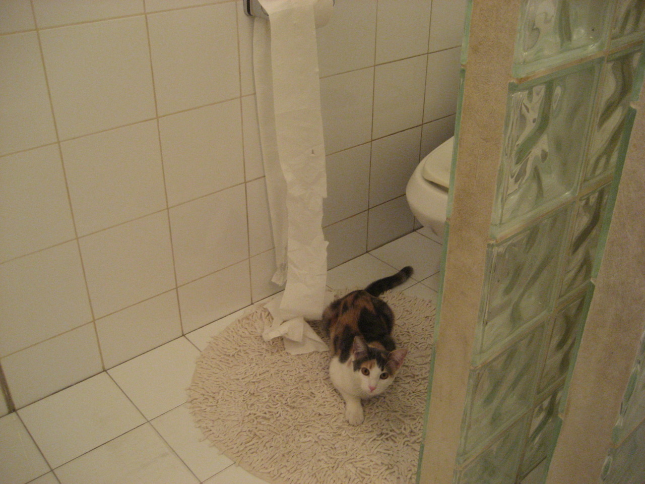 尼斯客场惨败,遗憾告负颗粒无收,尼斯被罚分