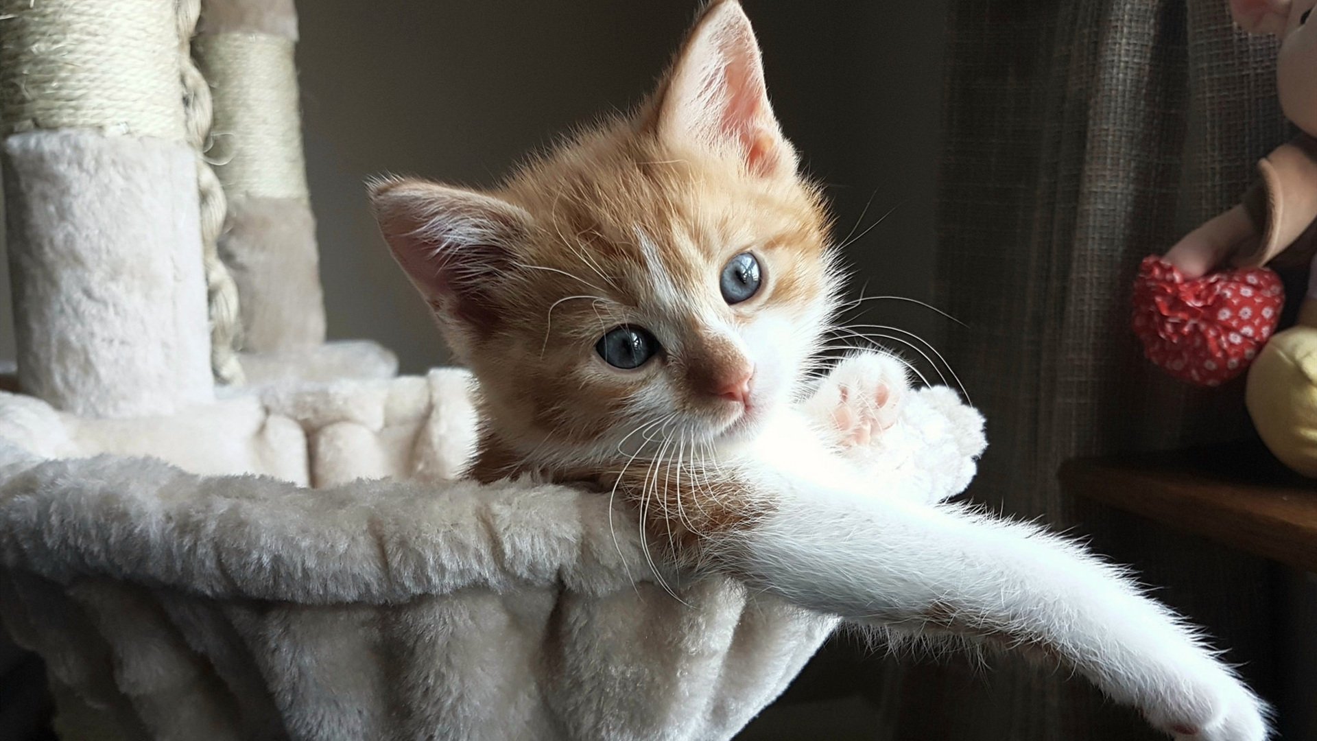 瑞典国脚高兴归队,备战克罗地亚一役,瑞典 vs 克罗地亚