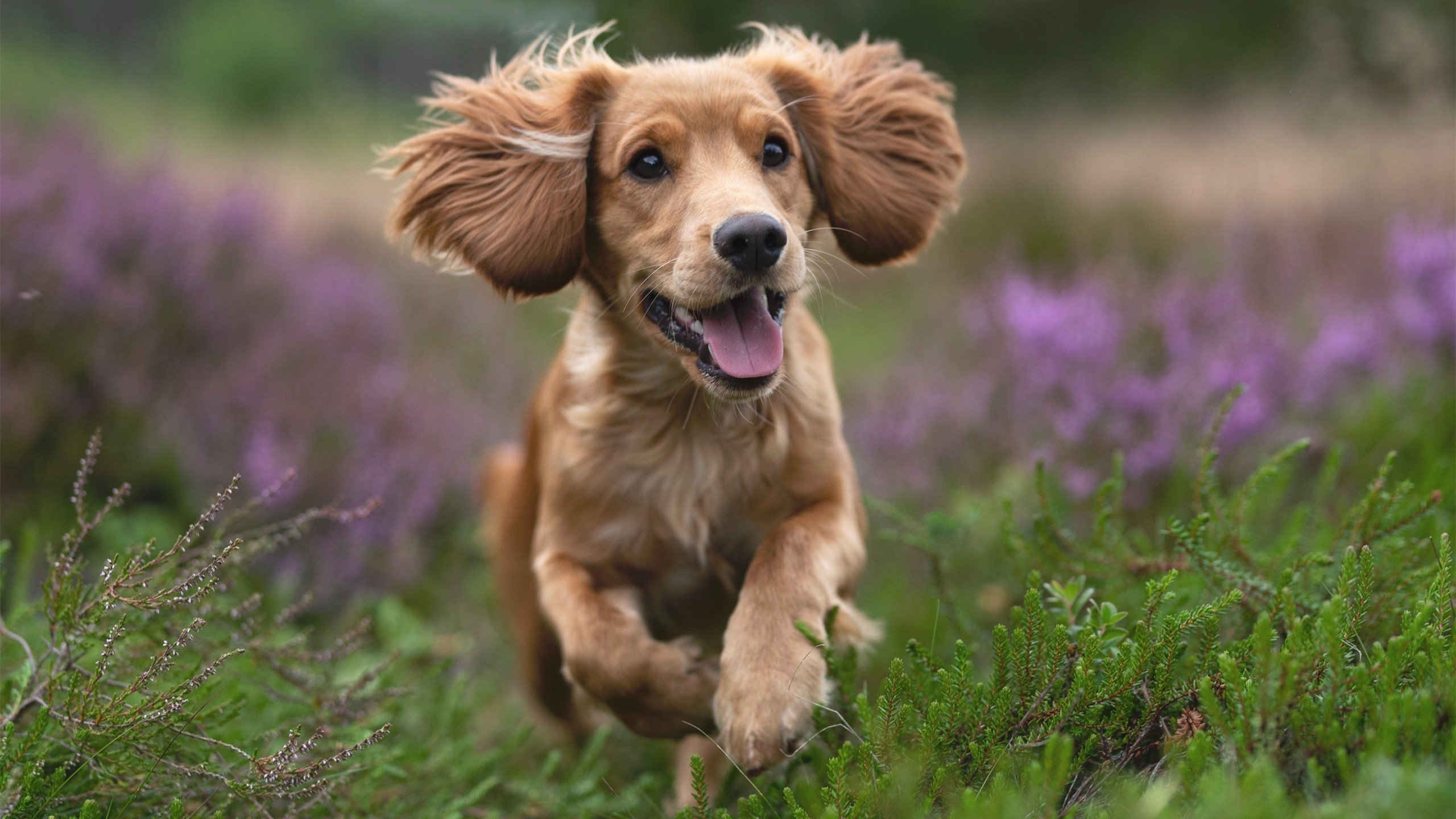 蔚山现代球员当选周最佳阵容,蔚山球队