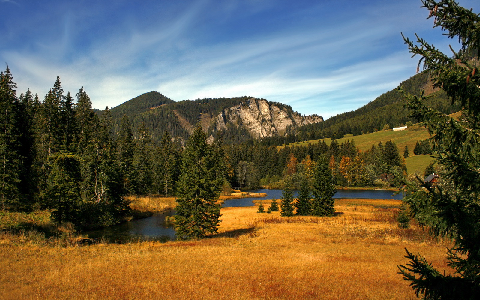 中国篮球职业联赛财务运营风险分析,篮球协会账务处理