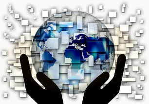 开云网站-中超球队年度控场人数分布与效果评估，中超球队人数限制