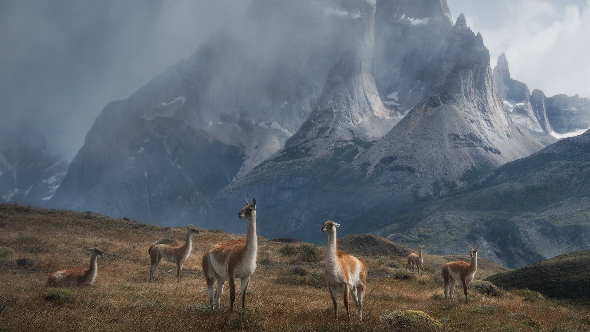 中超球队年度控场人数分布与效果评估,中超球队人数限制