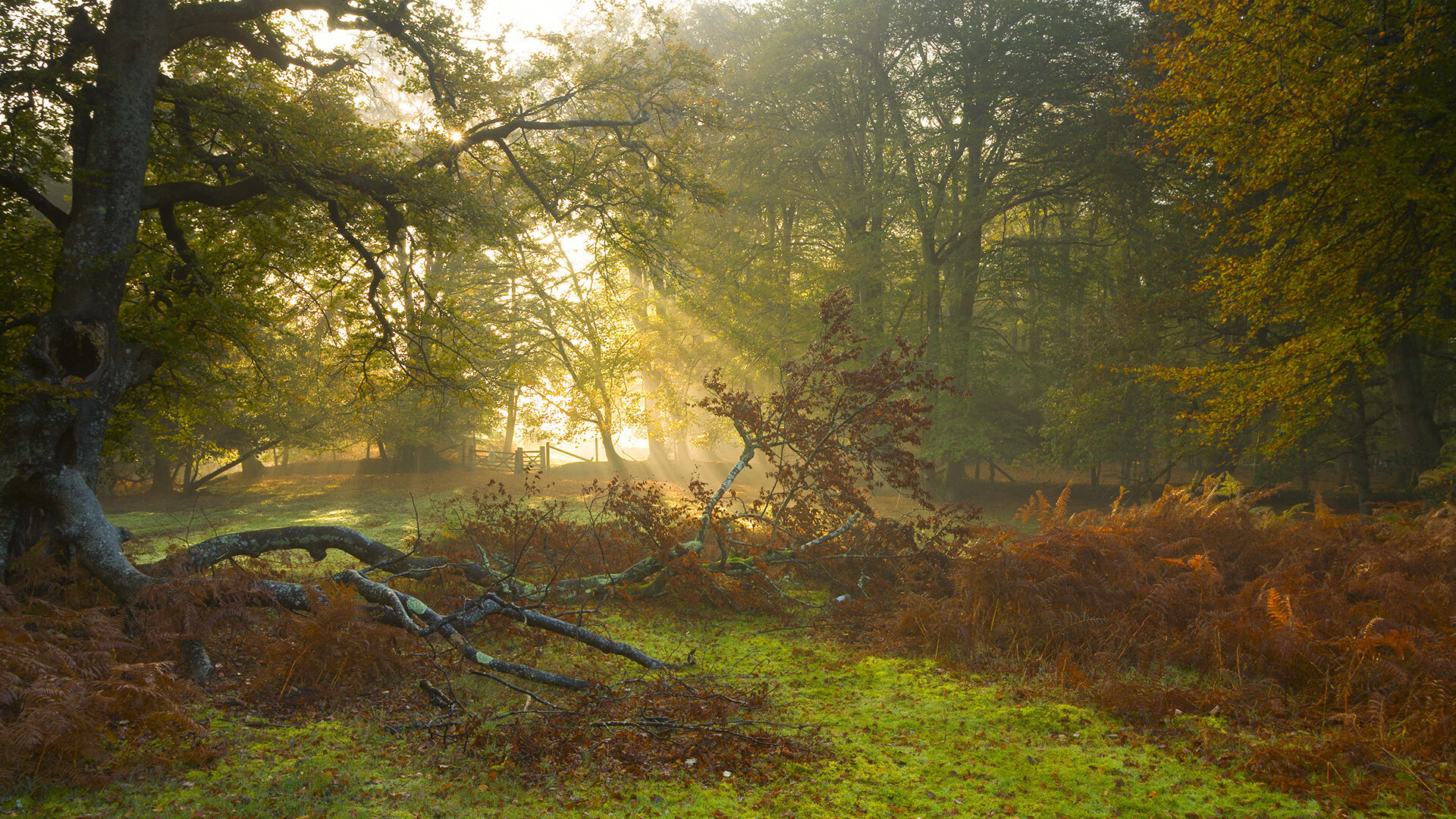 体育活动介入对青少年网络依赖行为的干预研究,青少年体育运动存在哪些问题
