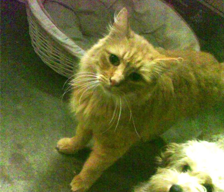 kaiyun体育综合-“东安湖体育公园龙舟赛：队员齐心协力争夺荣耀”