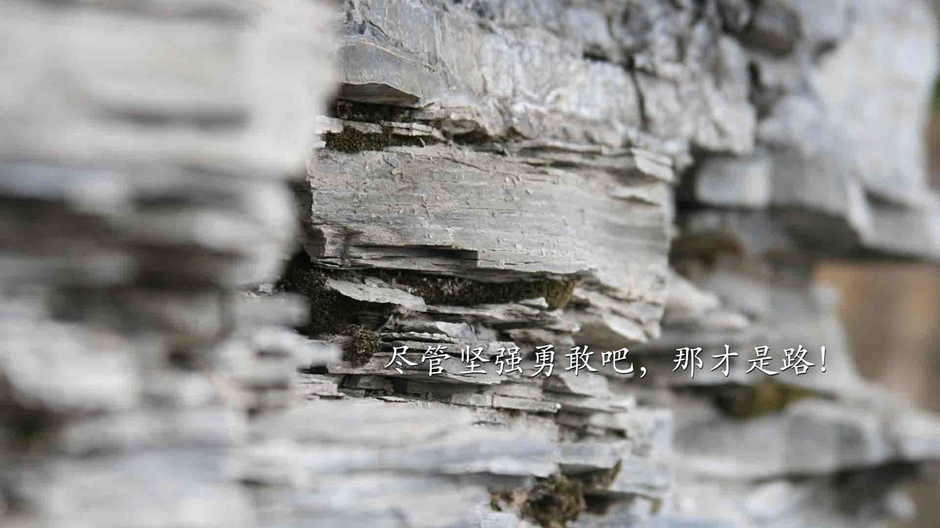 开云官网-五大联赛防线平均站位深度是否影响反击效率，五大联赛防守最好的联赛