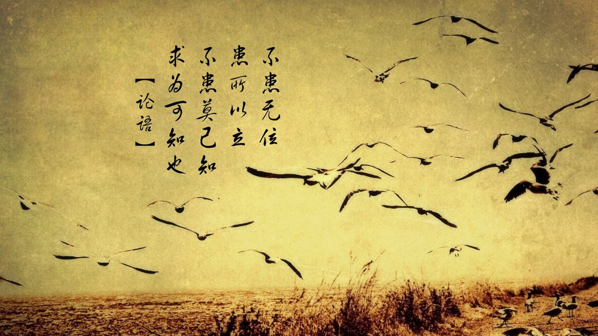 Kaiyun(中国)开云-姆巴佩决赛表现失常，球队遭遇滑铁卢，姆巴佩经典比赛