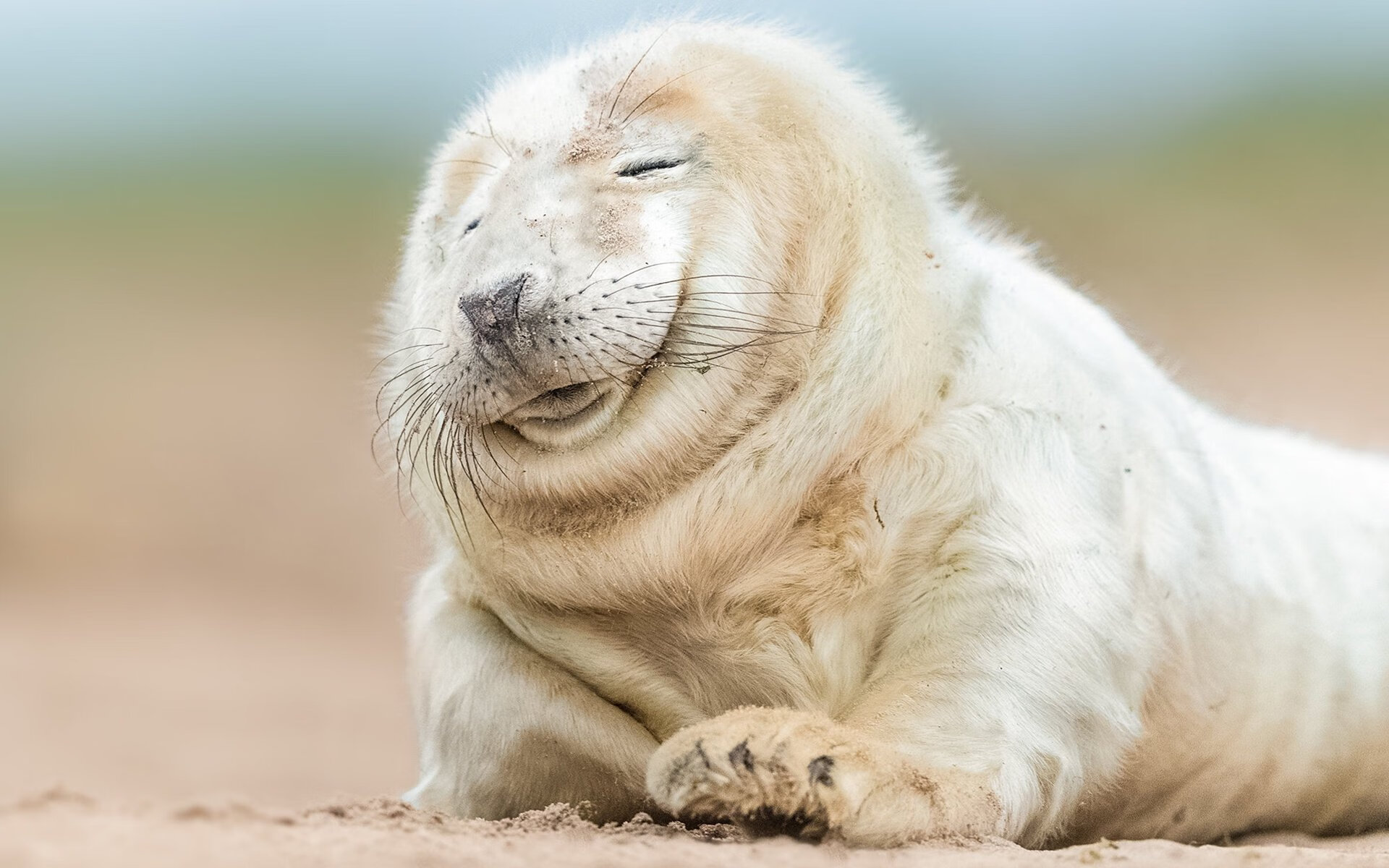 选手操作视角视频上线引发教学热潮，王者荣耀职业选手操作视角