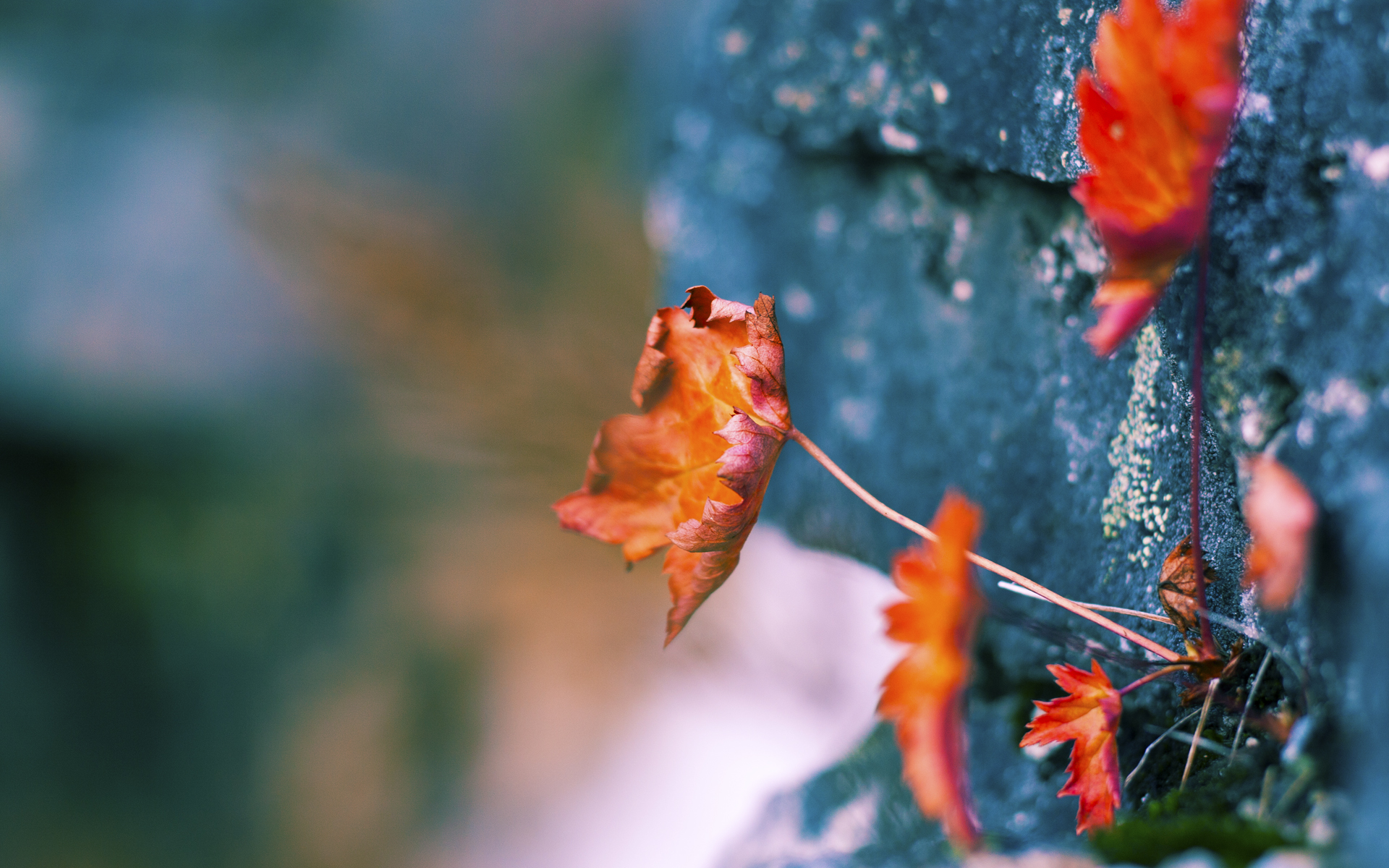 巴尔:全黑队中场的“支柱”,他的防守让对手无从突破