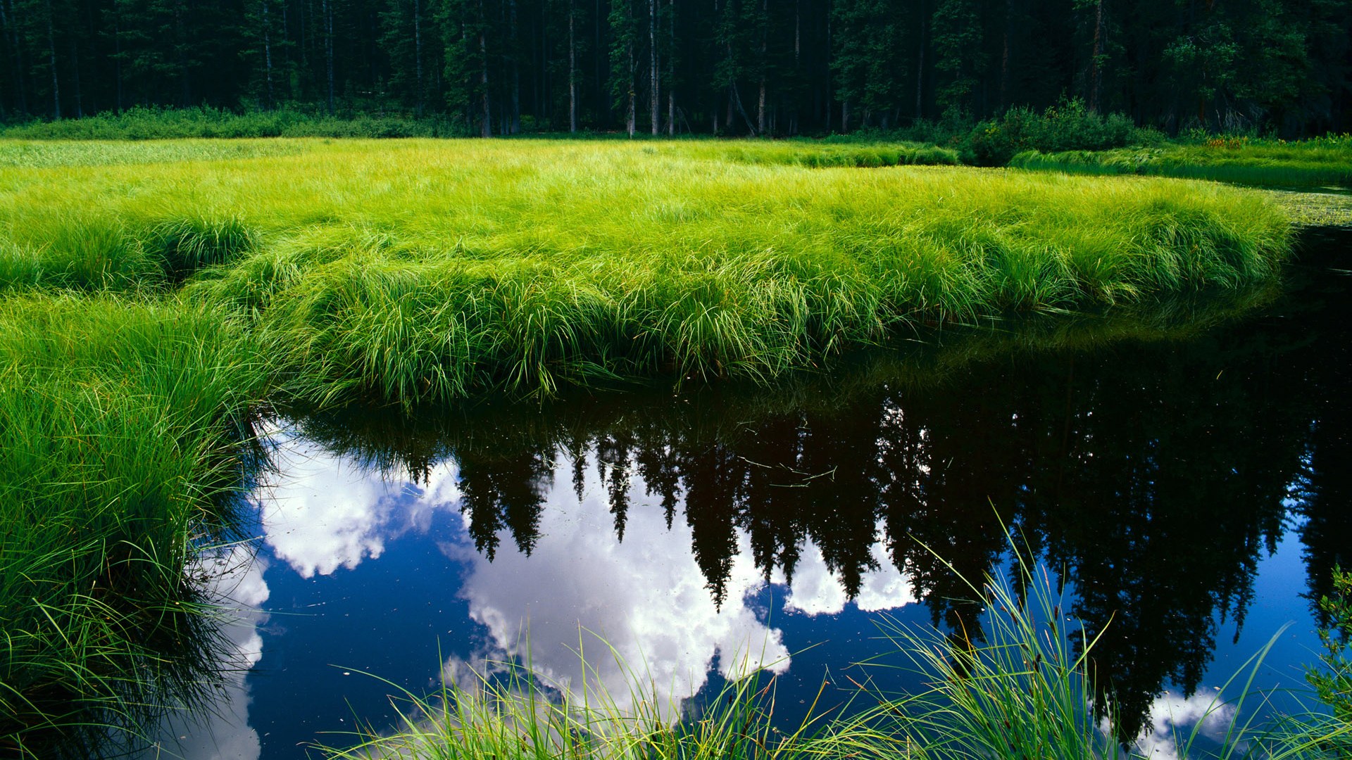 福特:全黑队的全能中场,推动比赛节奏的改变者,福特黑帅2020款价格